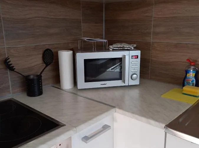 Monteur Nr 2 Apartment Loiching